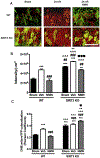 Fig. 9.