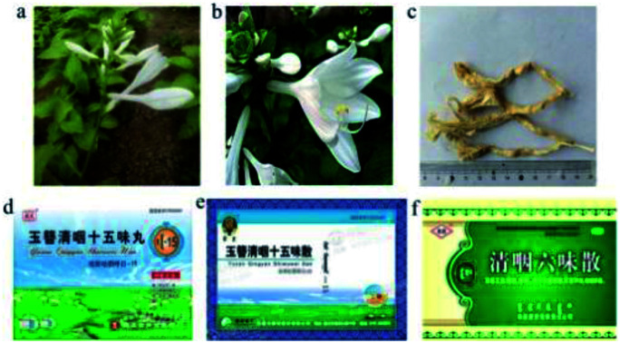graphic file with name c9ra06623c-ga.jpg