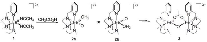 Scheme 3