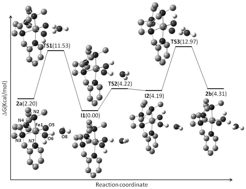 Scheme 4