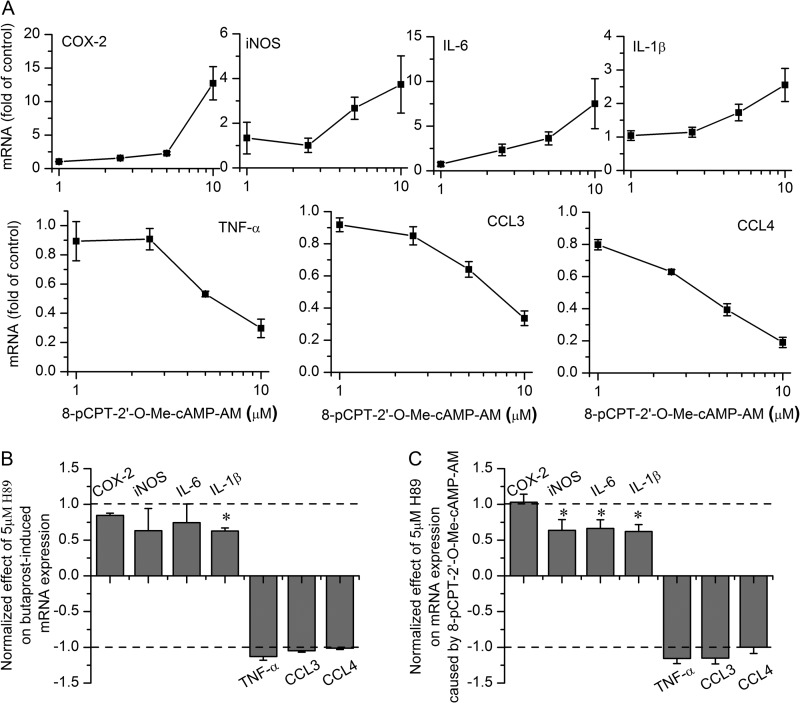 FIGURE 7.