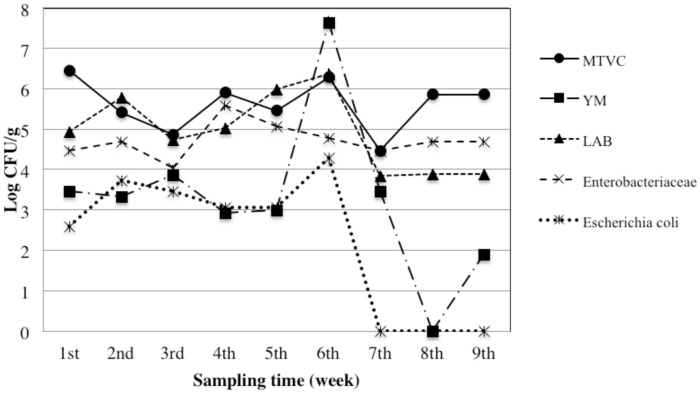 Fig 5