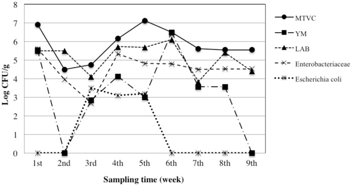 Fig 6