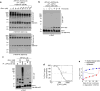 Extended Data Figure 8