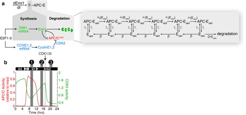 Extended Data Figure 6