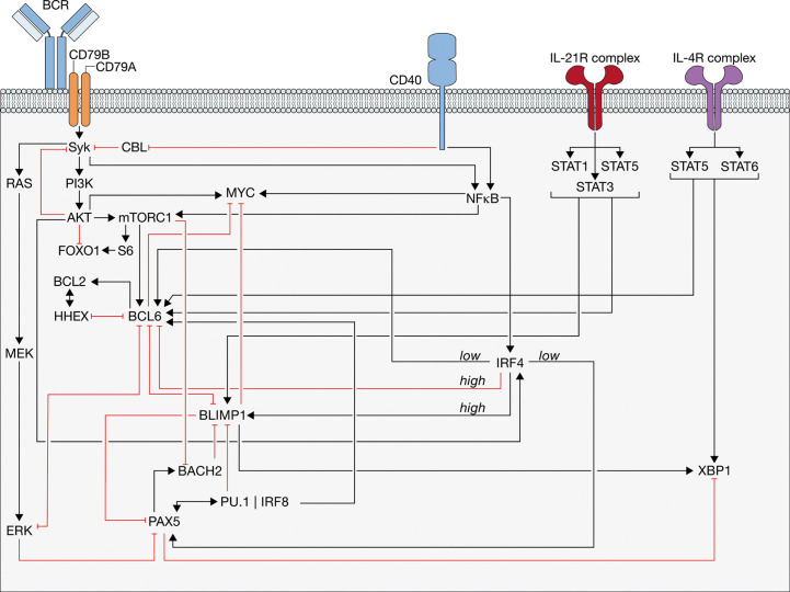 Figure 5