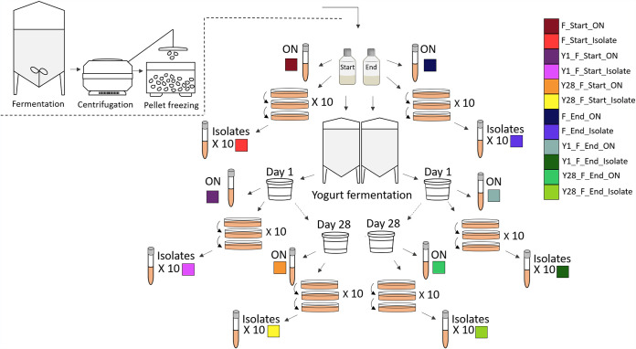 FIG 1