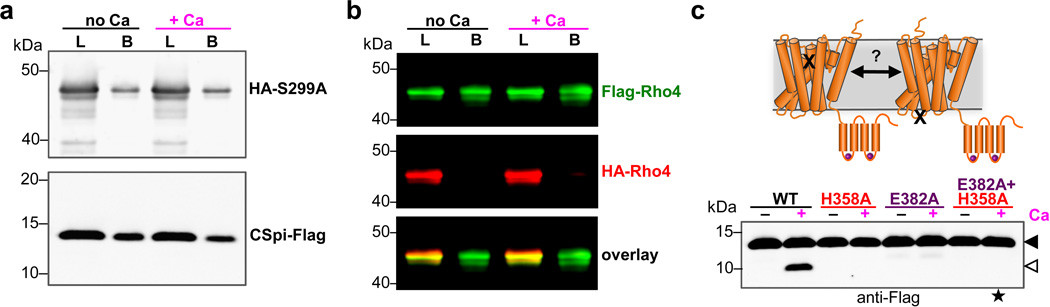 Extended Data Figure 3