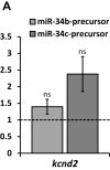Figure 3—figure supplement 1.