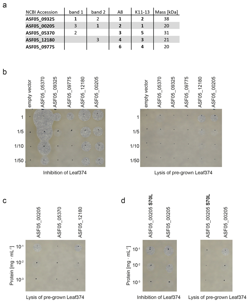 Extended Data Figure 5