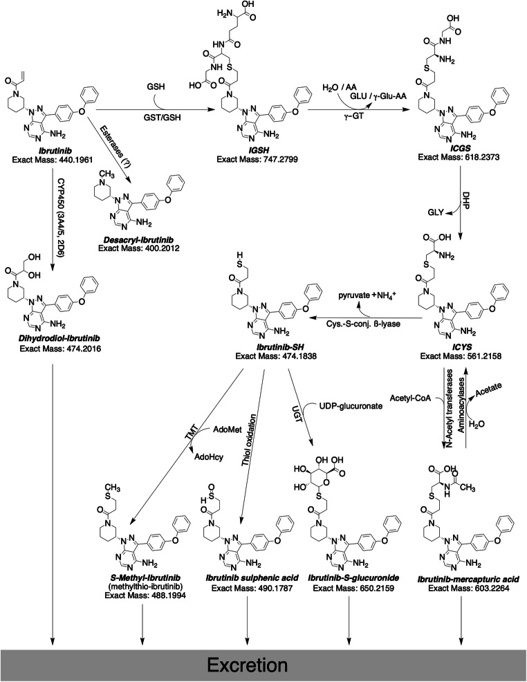 Fig. 10