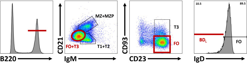 Figure 4