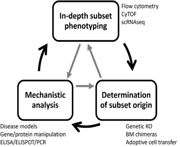 Figure 3