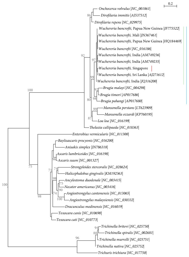 Figure 2