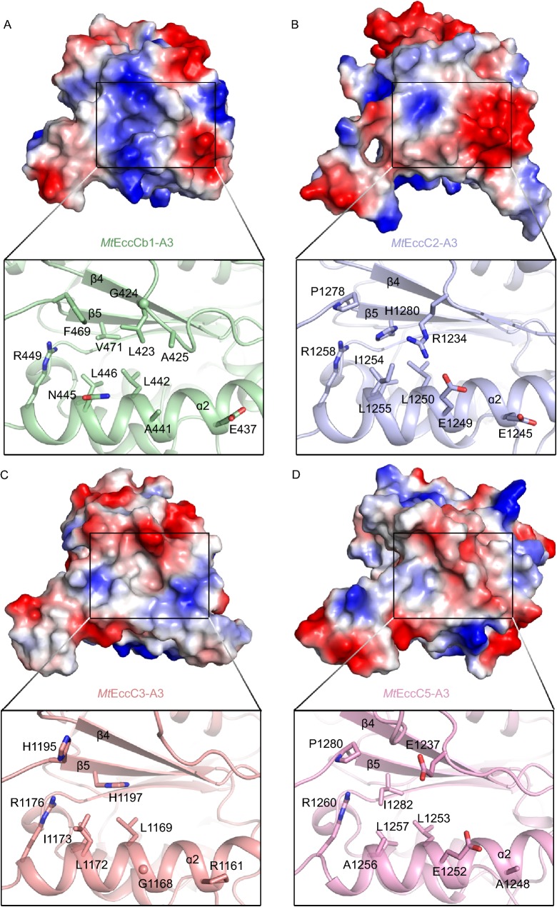 Figure 5