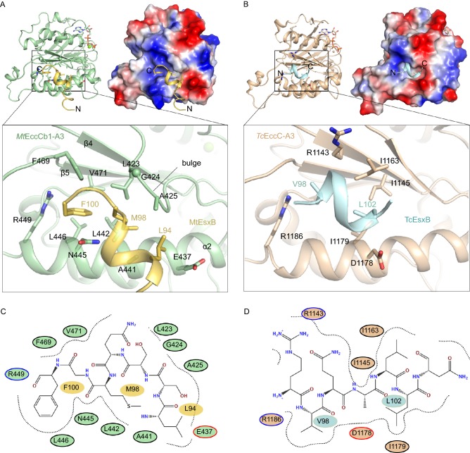 Figure 4