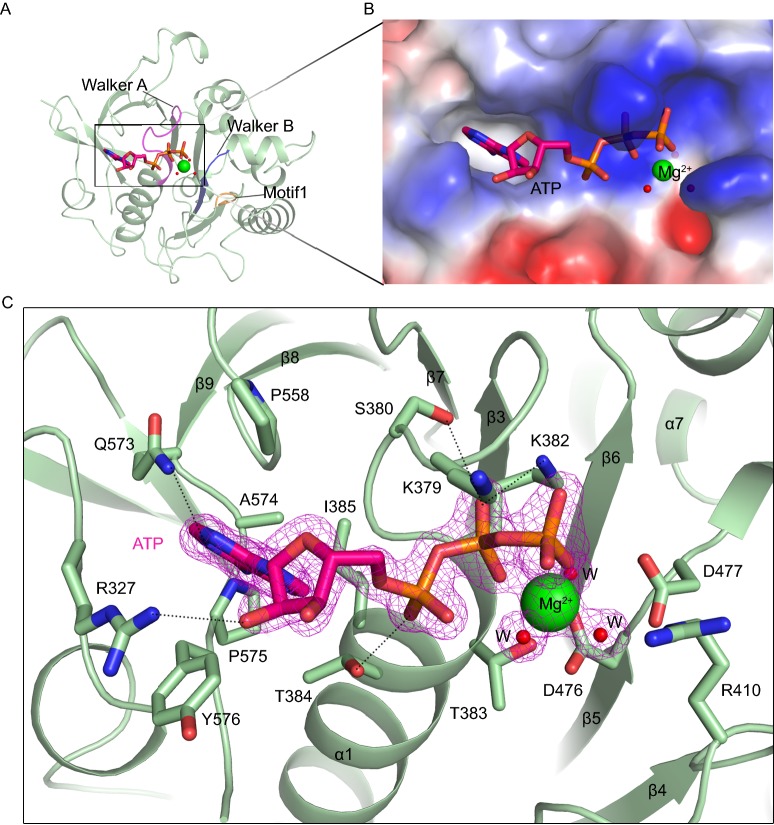 Figure 2