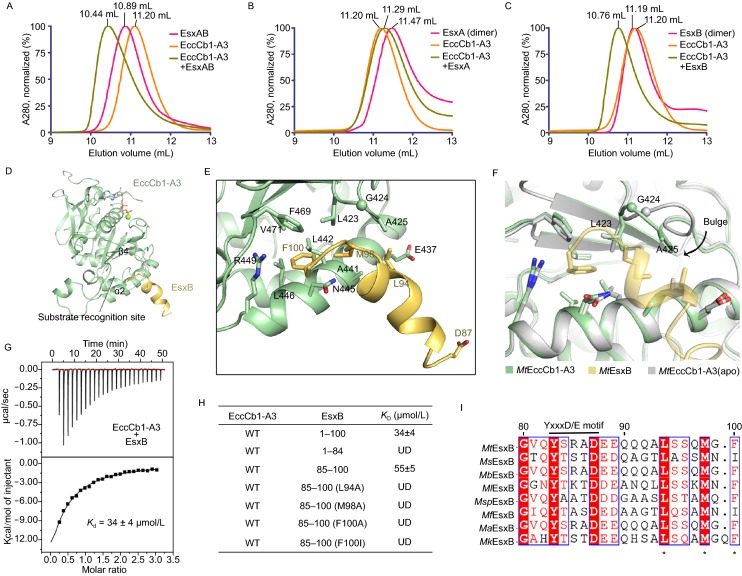 Figure 3