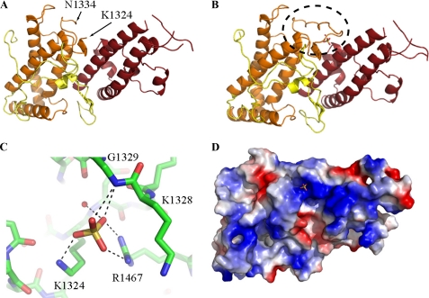 FIGURE 2.