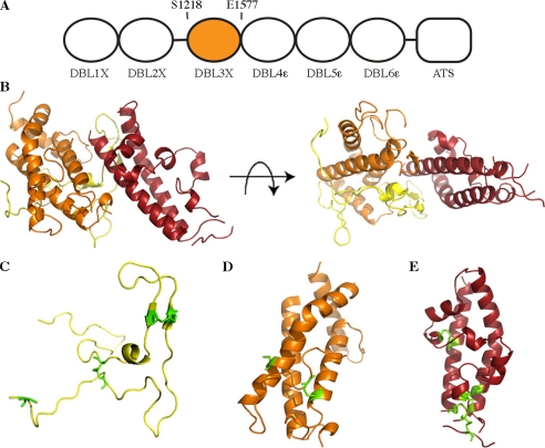 FIGURE 1.