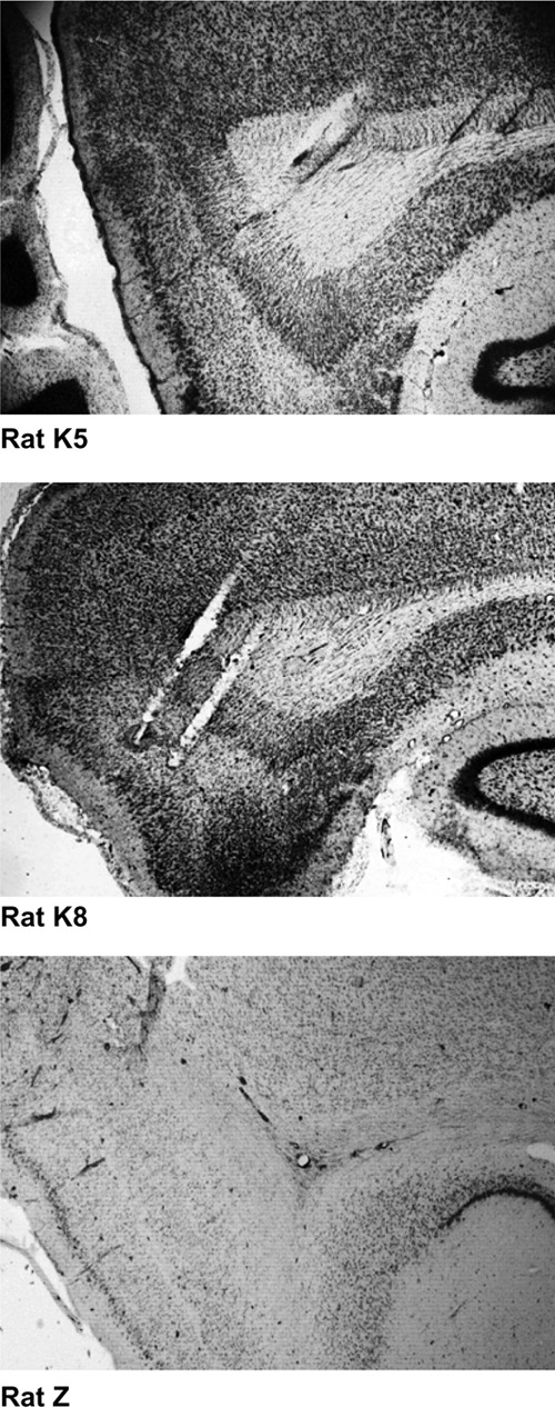 Figure 3.