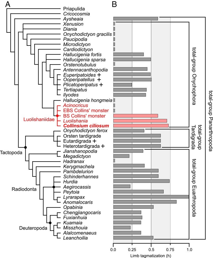 Fig. 4.