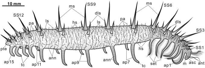 Fig. 3.