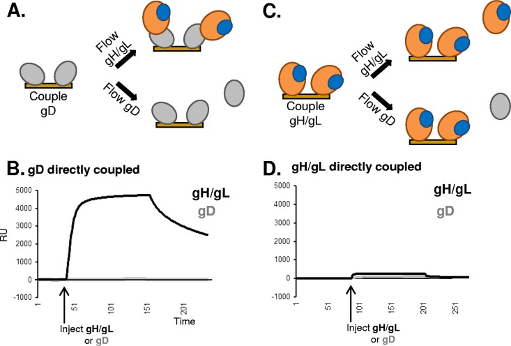 FIG 3