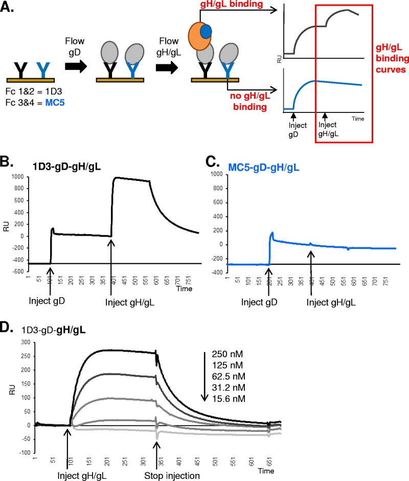 FIG 4