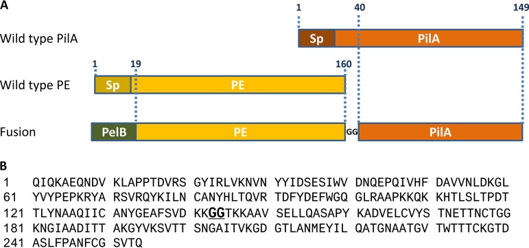 FIG 1