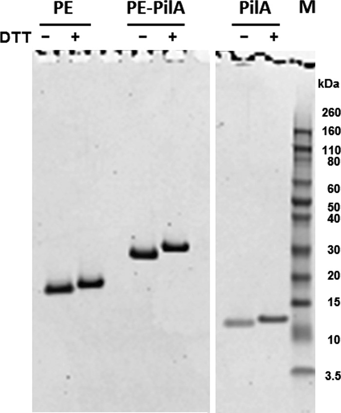 FIG 2