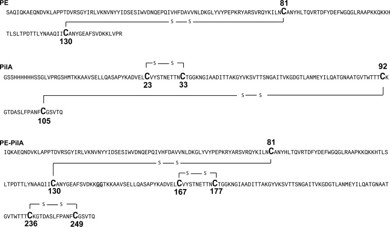 FIG 6