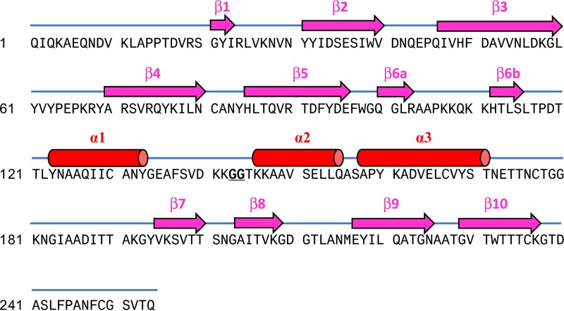 FIG 9