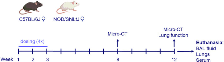 Figure 8