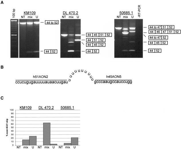 Figure  5