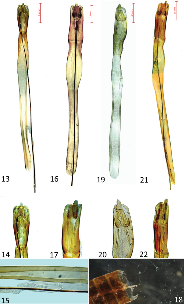 Figures 13–22.