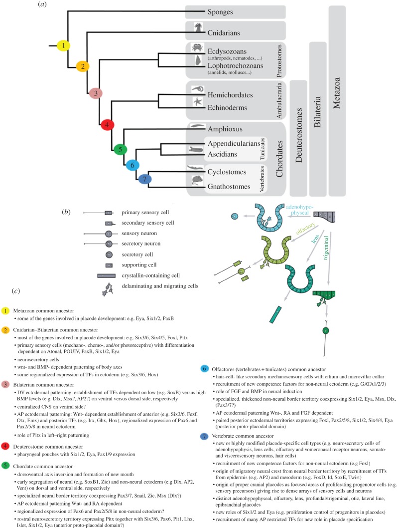 Figure 3.