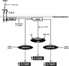 Fig 7