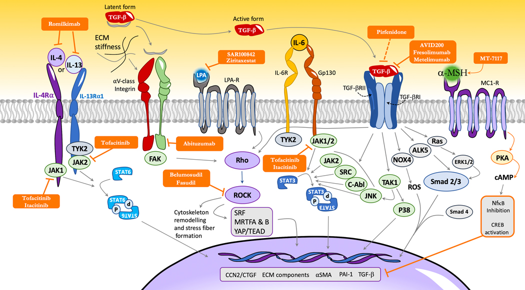 Figure 2: