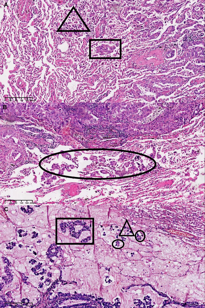 Figure 2