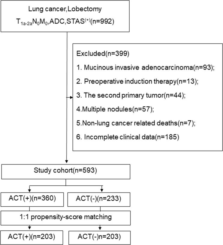 Figure 1