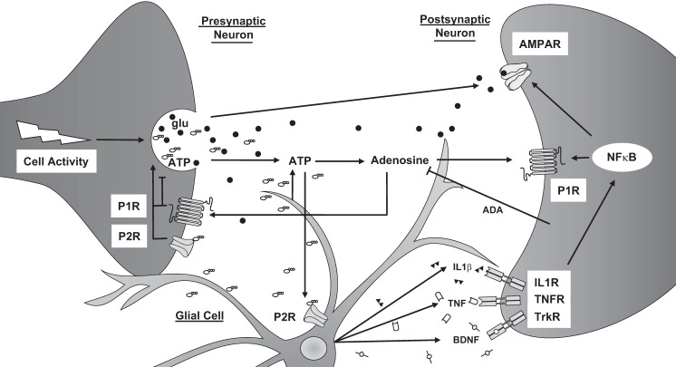 Fig. 4.