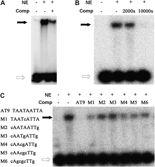 Figure 7.