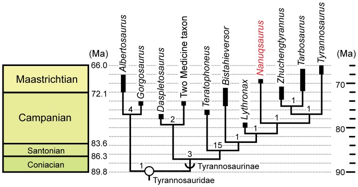 Figure 7