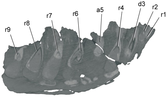 Figure 5