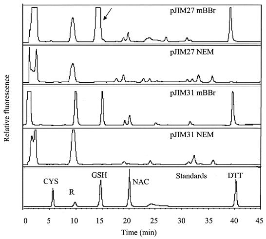 FIG. 2.