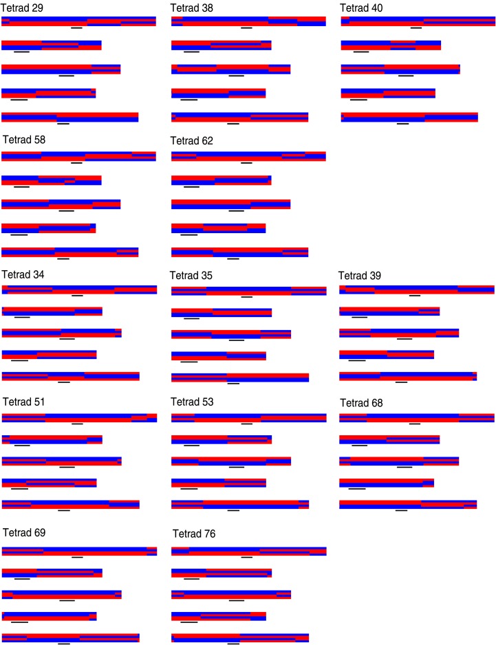 Figure 1—figure supplement 1.