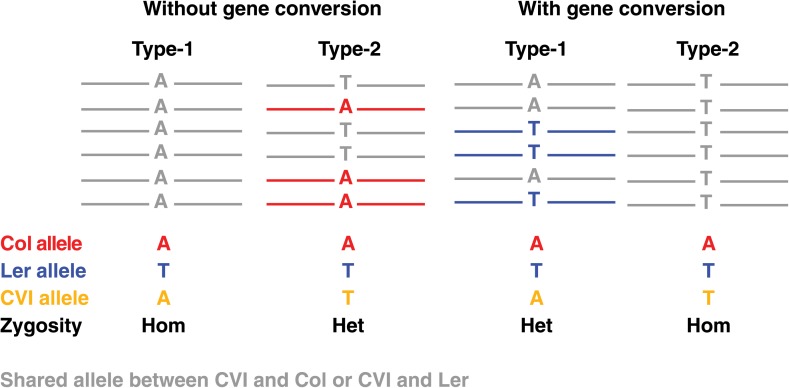 Figure 2—figure supplement 1.