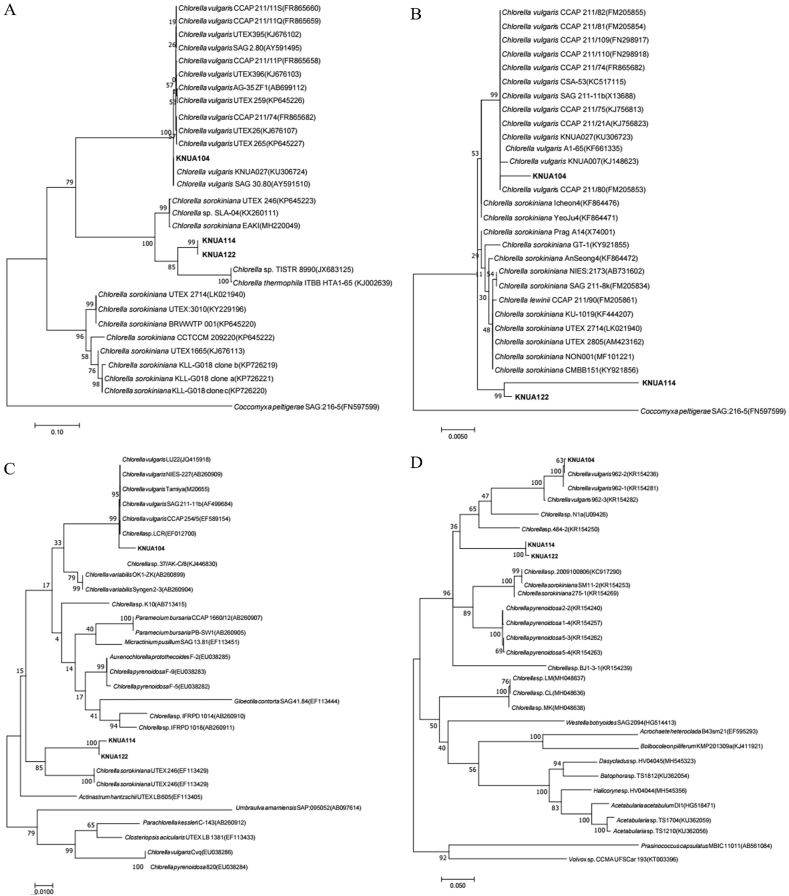 Figure 2