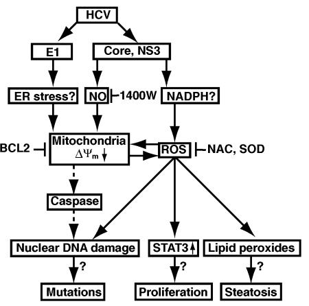 FIG. 7.